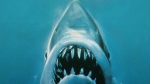 Jaws